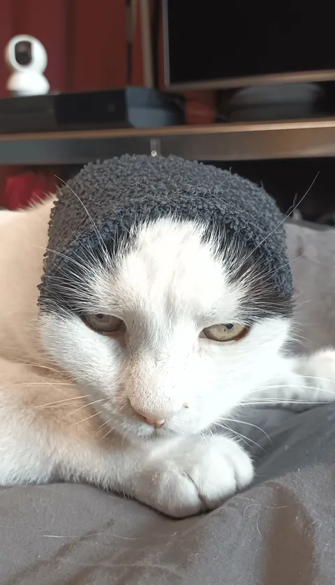 Am I safe sleeping tonight, or is she plotting revenge?