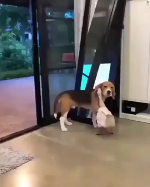 the start of a long pure friendship