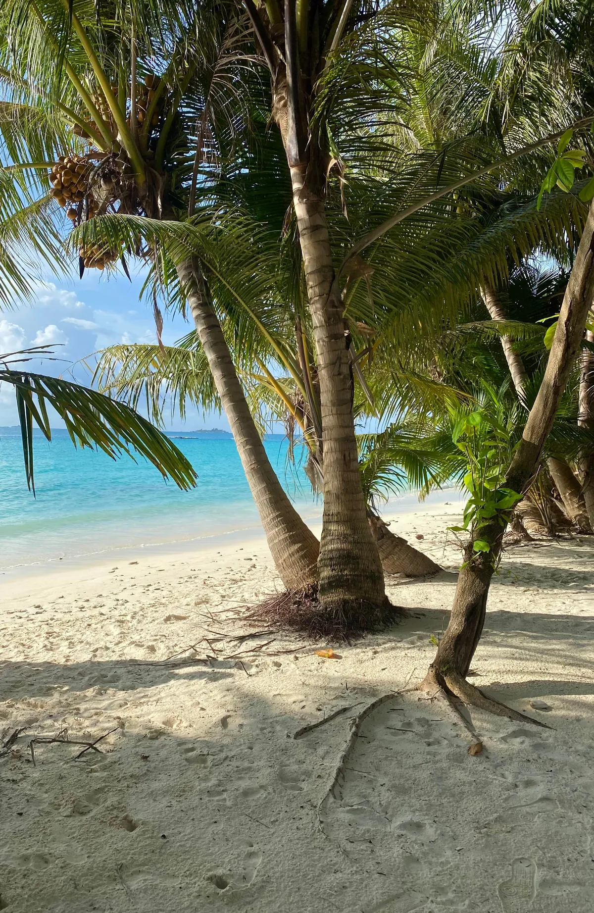 Spent a couple of days on a local Maldivian island and loved every second of it.