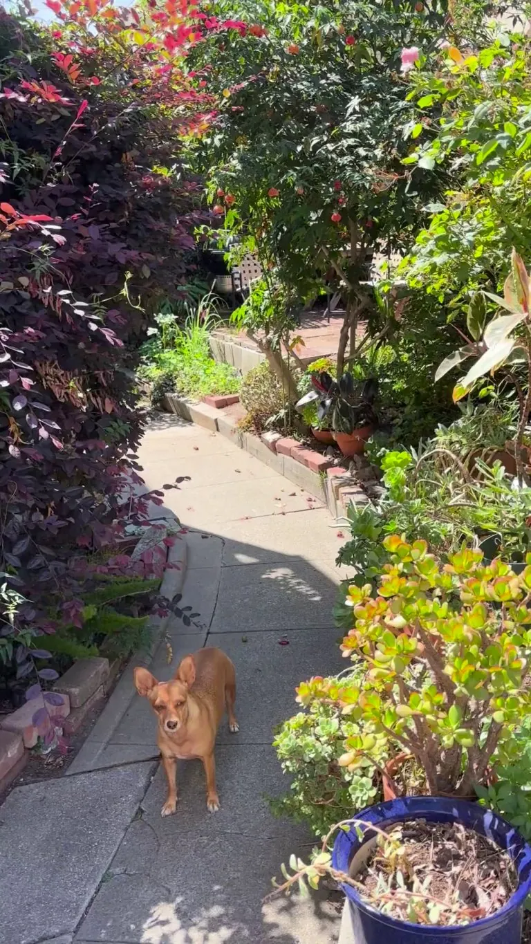 My little piece of paradise 🌴