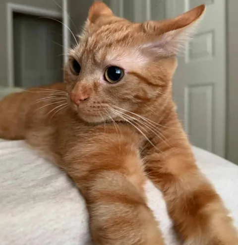 Tell me I'm handsome please 🥺