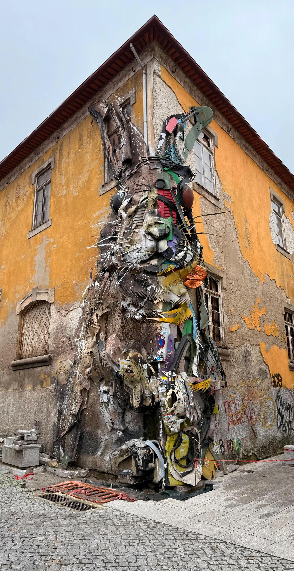 ITAP of a trash bunny