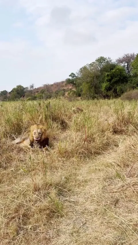 He is behind on the cub support payments