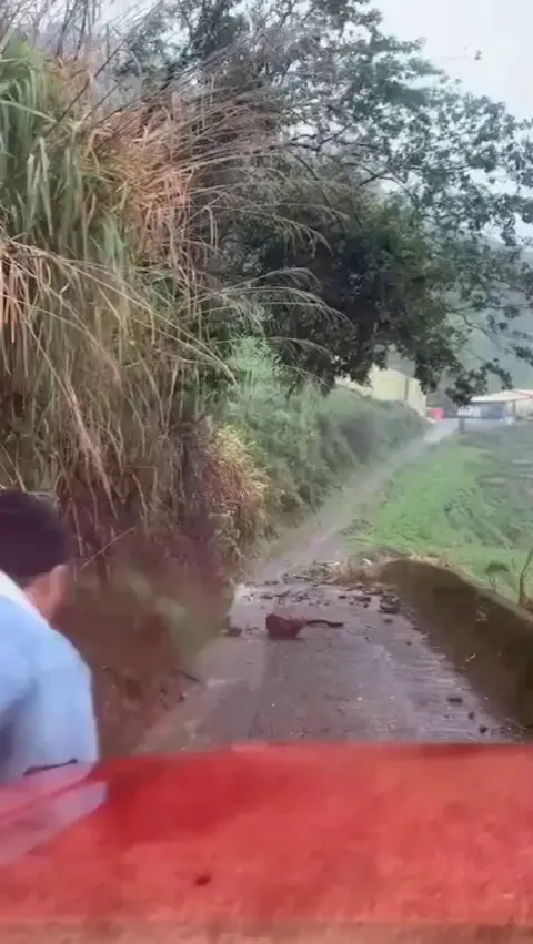 Rock in the middle of the road