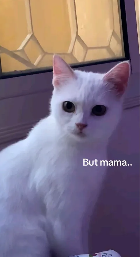 She's in love with a criminal.😛❤️