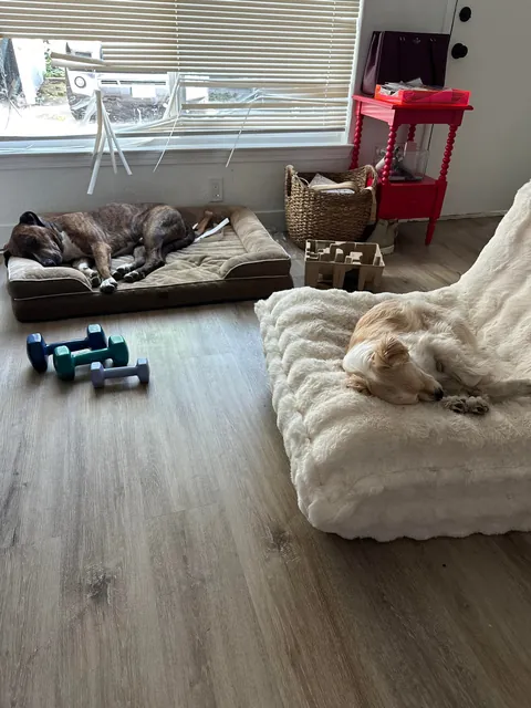 Wish I could ever sleep as well as the boys do when they’ve just done property damage they don’t have to pay for 🥰
