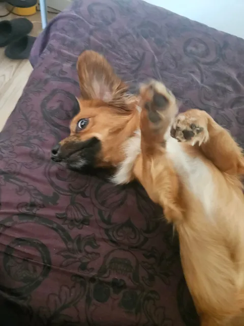 "Mother i need more attention"