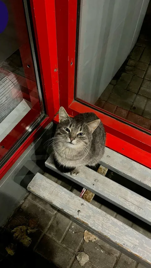 When bae looks at you like that, you know you've won everything