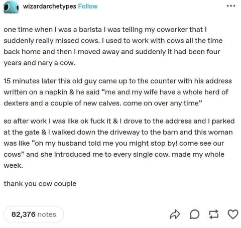 Sometimes you just need to see some cows 