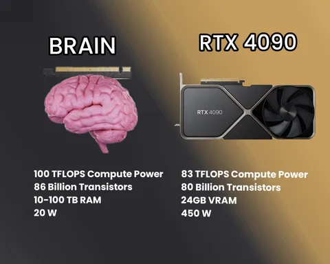 4090 vs Brain