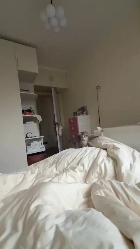 He loves jumping in the bed every time I move my leg 😂