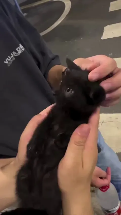 forgot about "M" and only speaks “eow”