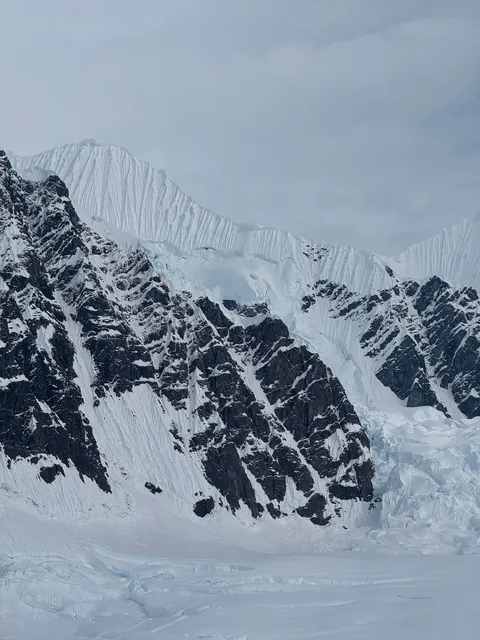 I just got back from Antarctica. It was life changing.