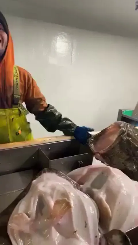 Letting your intrusive thoughts win