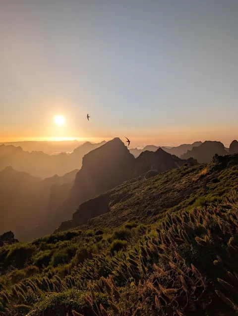 The sun going down in Madeira