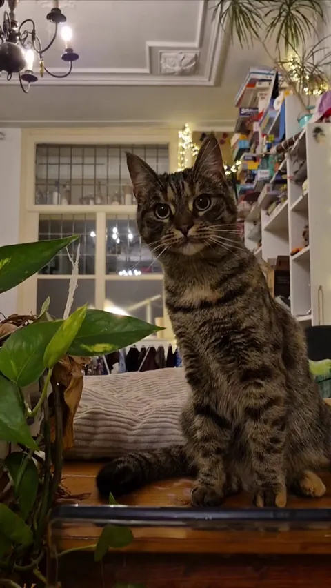 When you're snooping but don't want to make it look obvious