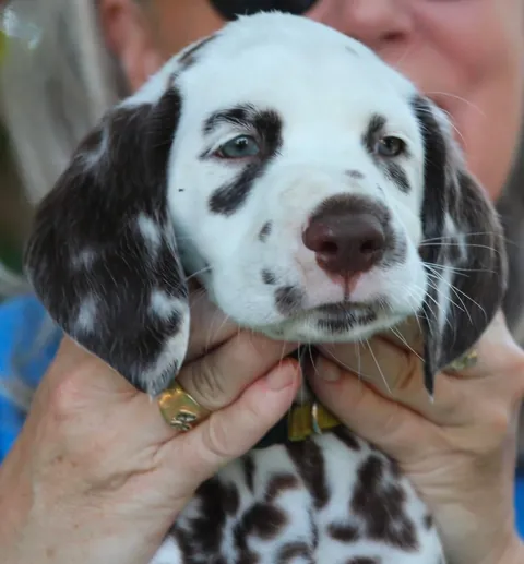 my richard then vs now. oh he was so small!!