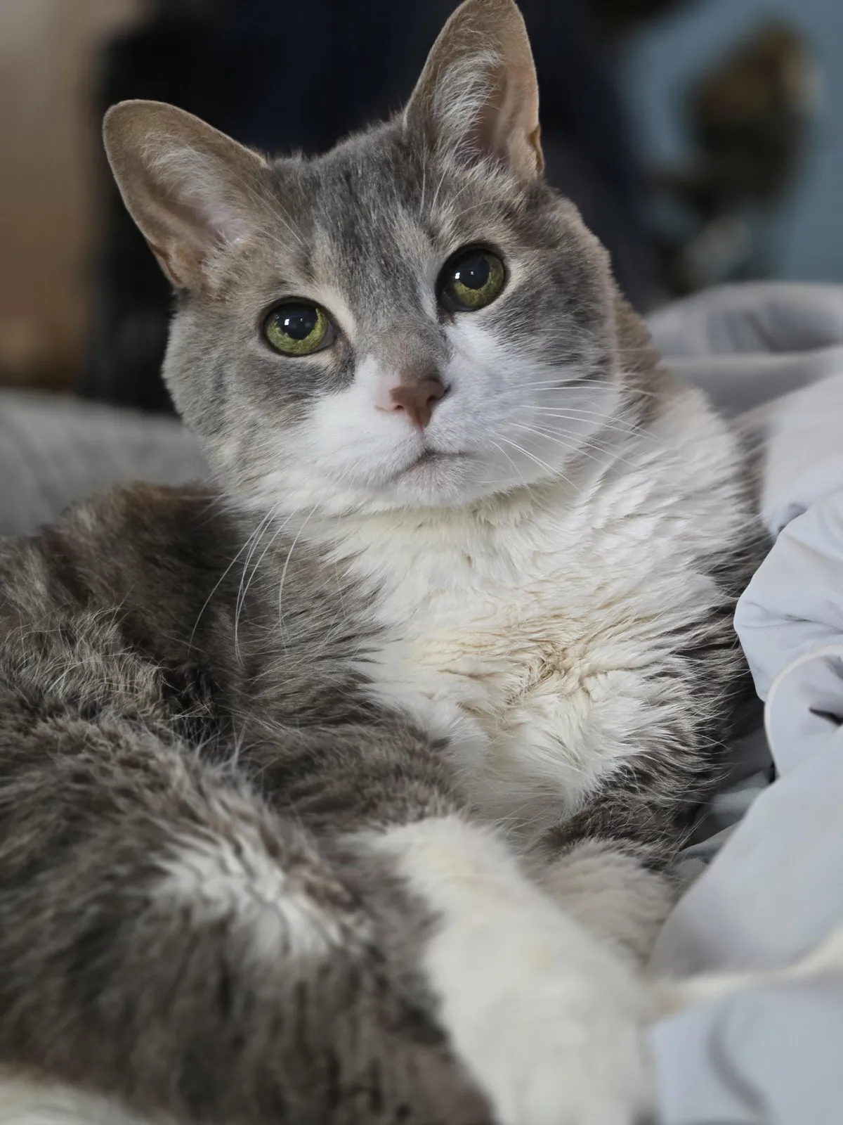 everyone say hi to my 21 year old girl &lt;3