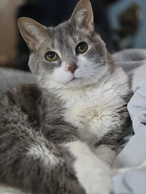 everyone say hi to my 21 year old girl &lt;3