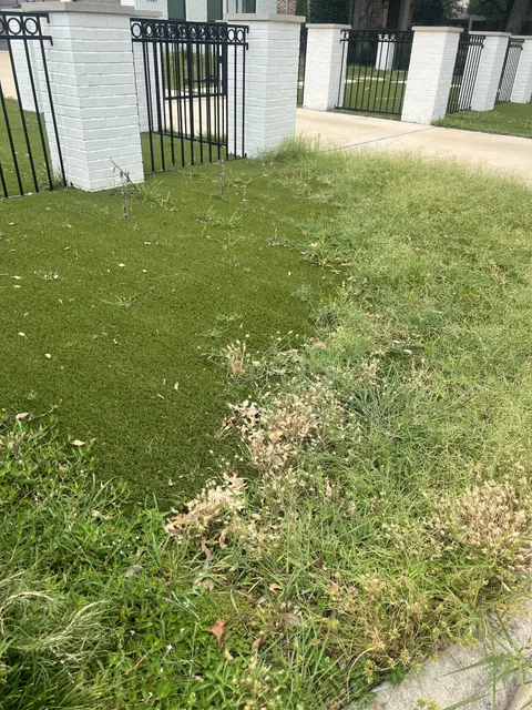 My neighbors fake grass is being overrun by real grass