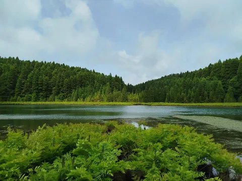 Some pictures of my time in the Azores in 2025