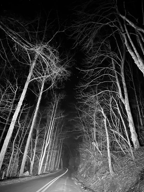 The long lost road in winter x