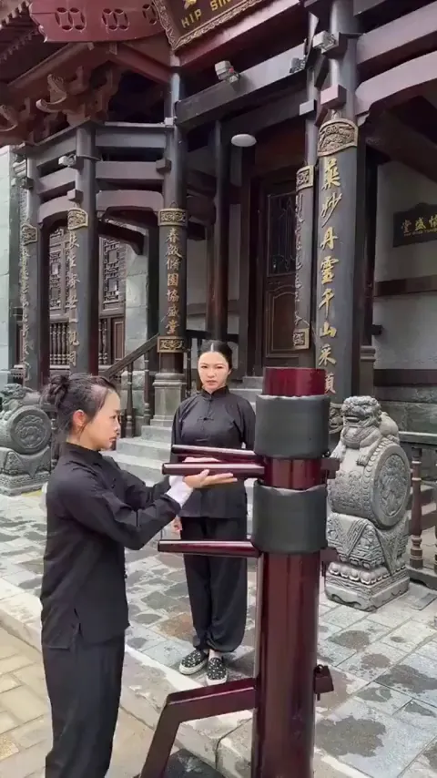 Wing Chun is a Southern Chinese kung fu emphasizing efficiency, direct movement and close-quarters combat