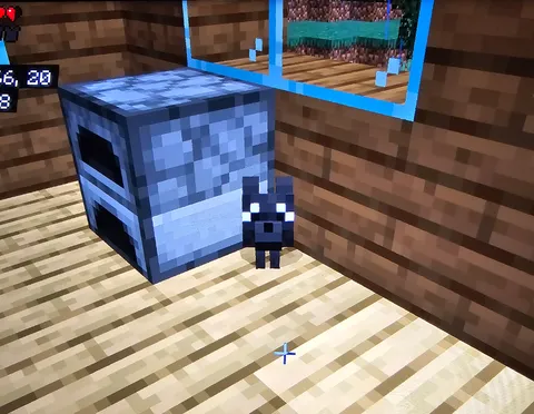 Found a baby black wolf all by itself and it only took one bone to tame