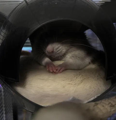 I’m here to make a deal