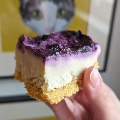 [homemade] lemon blueberry cheesecake bar. 249/365