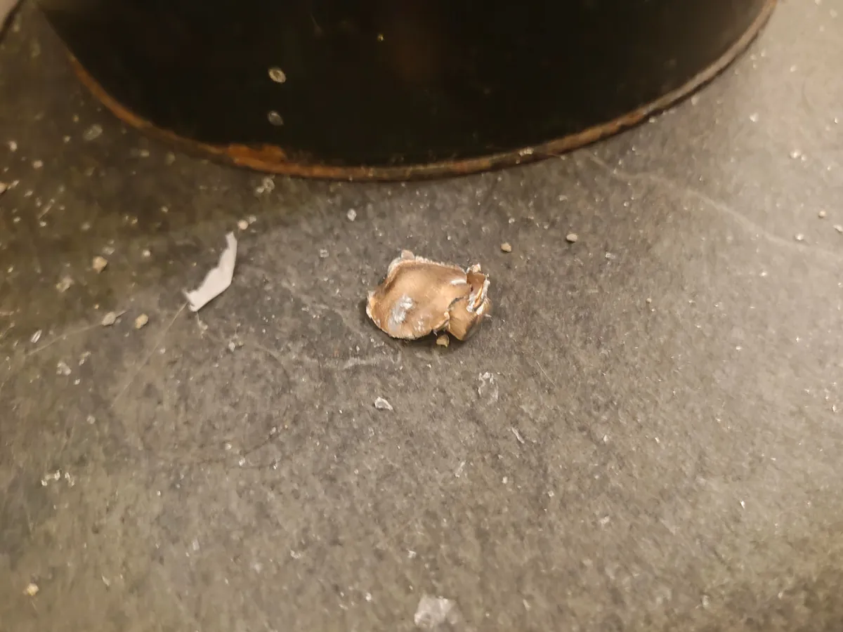 Neighbor just shot my house. I moved in two weeks ago.