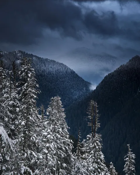 Rain is back, Cypress Prov.Park | BC | Canada [OC][1520x1900]