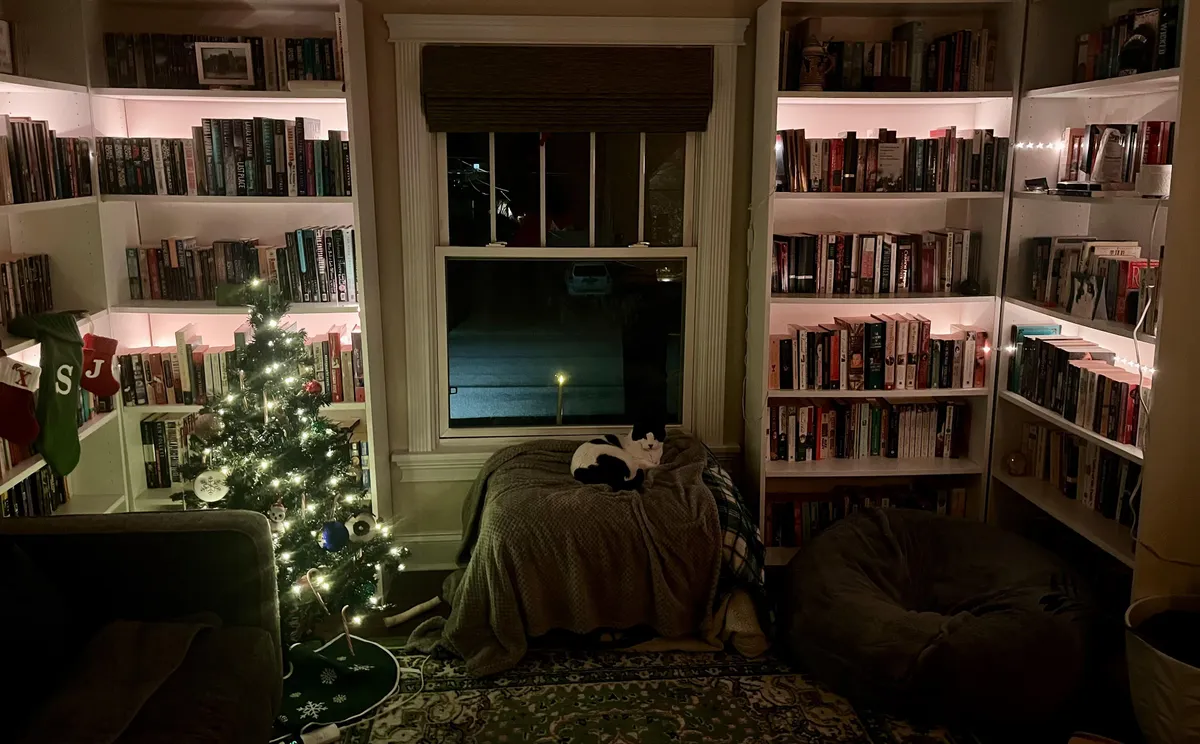 My lil' living room book (&amp; animal) nook 