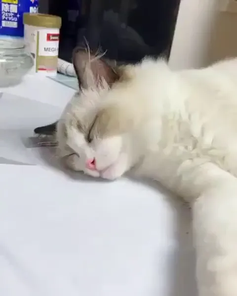 "I was just dreaming of this!"