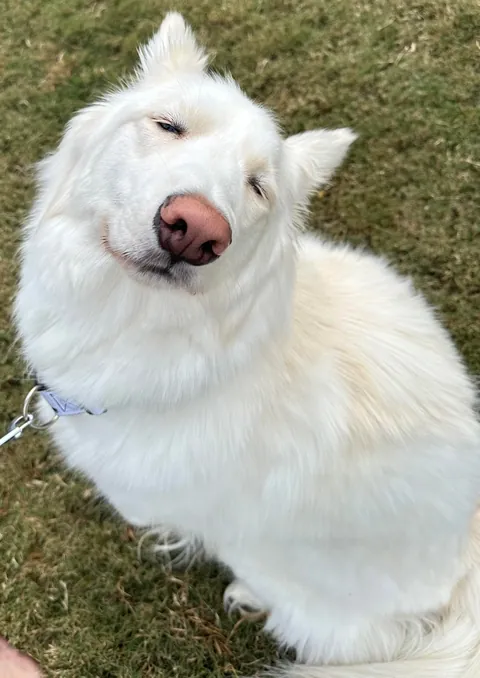 I promise she’s real!!