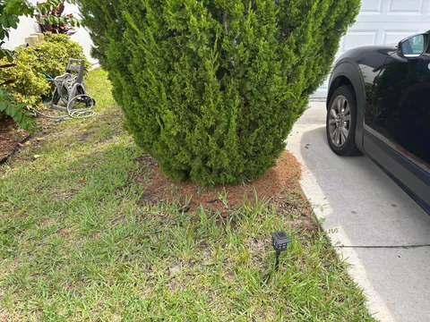 A whole day spent gardening. Before and after!