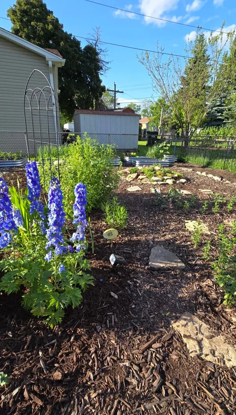 Transformed a small space behind my garage into my dream garden🌻2023 vs. 2024 