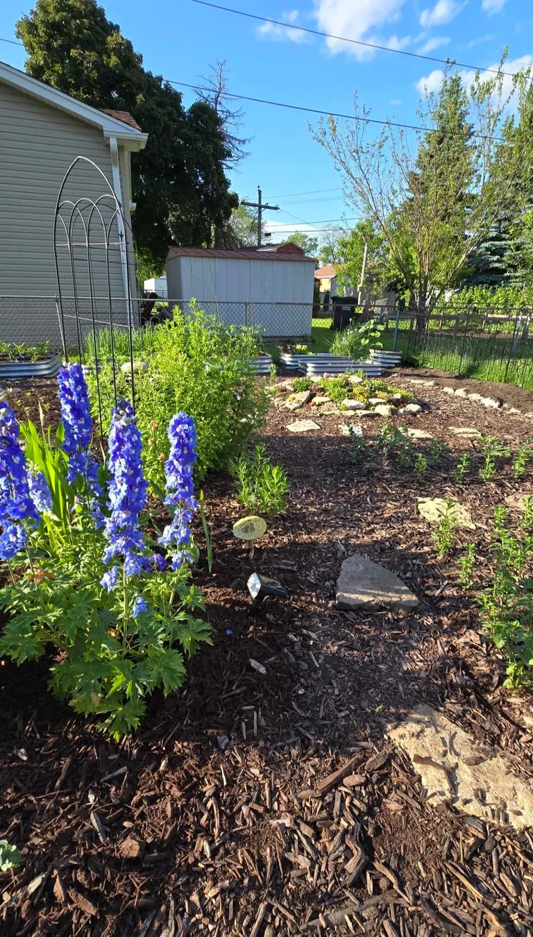 Transformed a small space behind my garage into my dream garden🌻2023 vs. 2024 