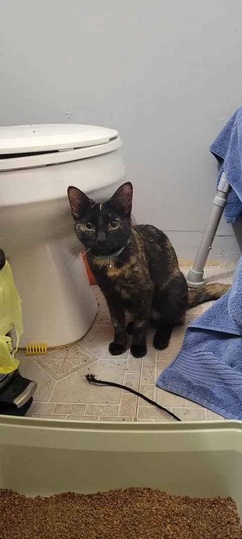 Poor baby got left when her owner got evicted