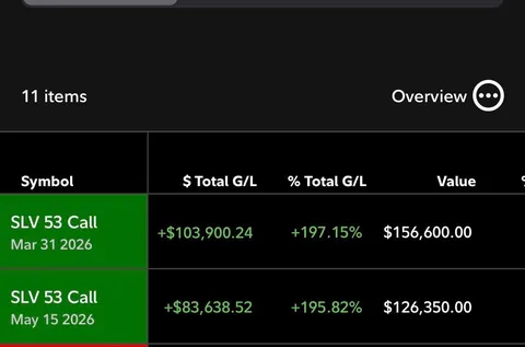 235% gain YOY all thanks to Silver.