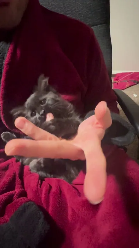 Hooman why your nipples no work