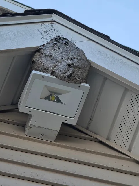 We need to replace this light