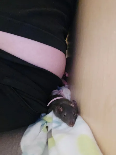 I literally met this man a day and a half ago