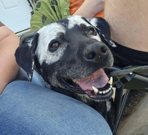 Everyone said she looked sad in my last post here's a happy one :)