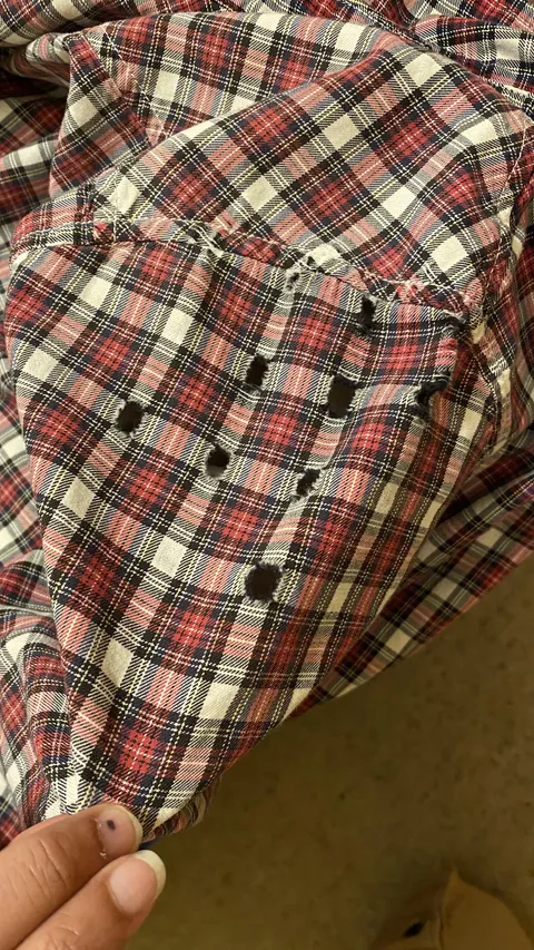 Only the pure white squares of my plaid, cotton shirt are wearing away.
