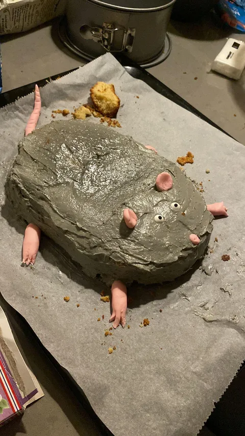 Someone in my group chat sent me a picture of a "cake" he made