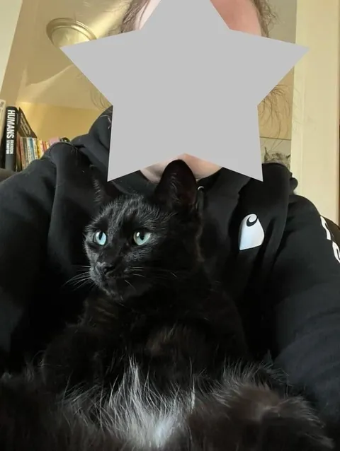 Toblerone was returned to the shelter for being “too needy”, but we love his neediness🖤