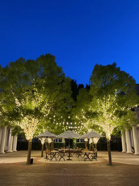 This spot I walked by on an ordinary summer evening seemed quite magical.