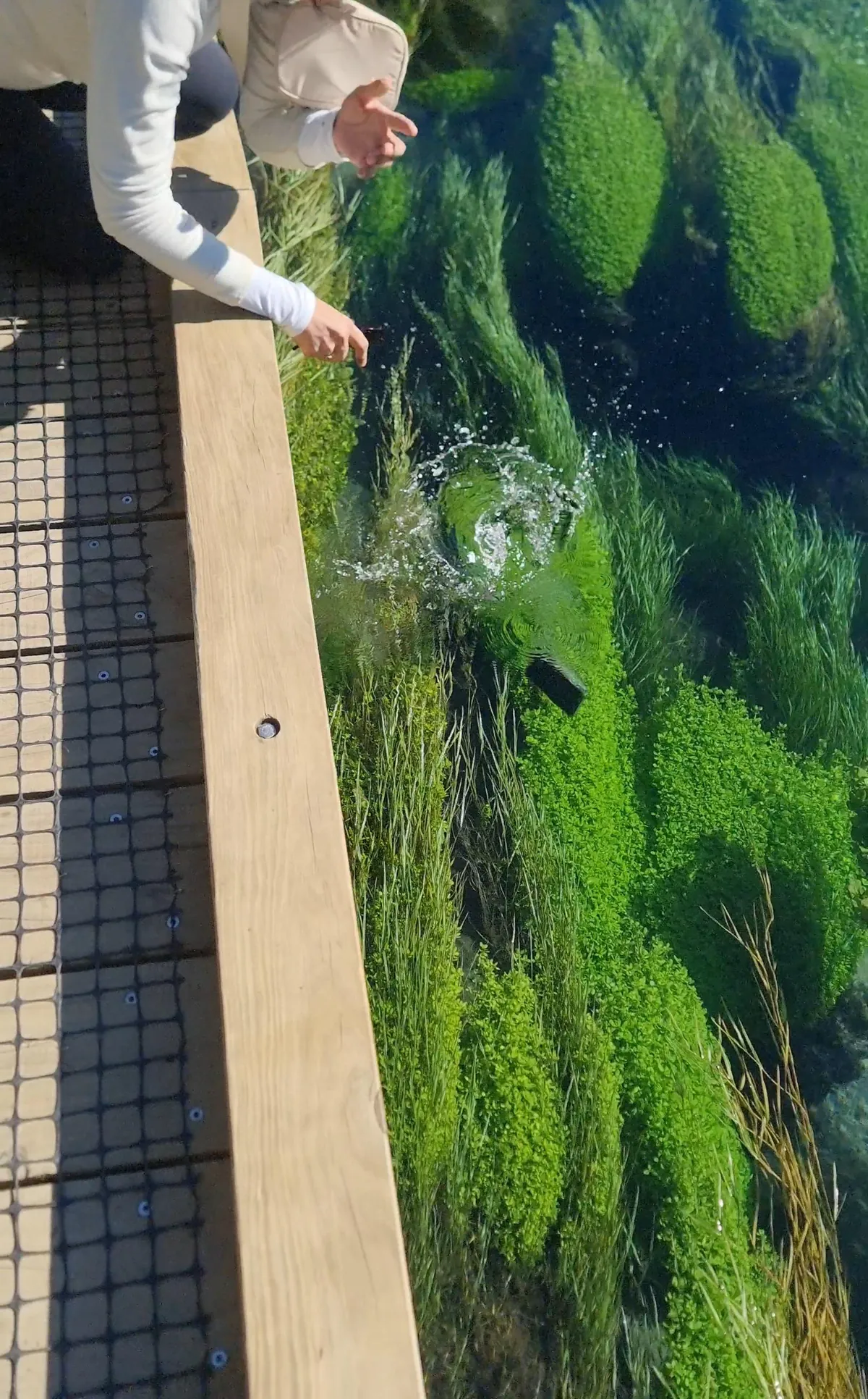 I asked my wife to touch the water, then something fell out of her bag