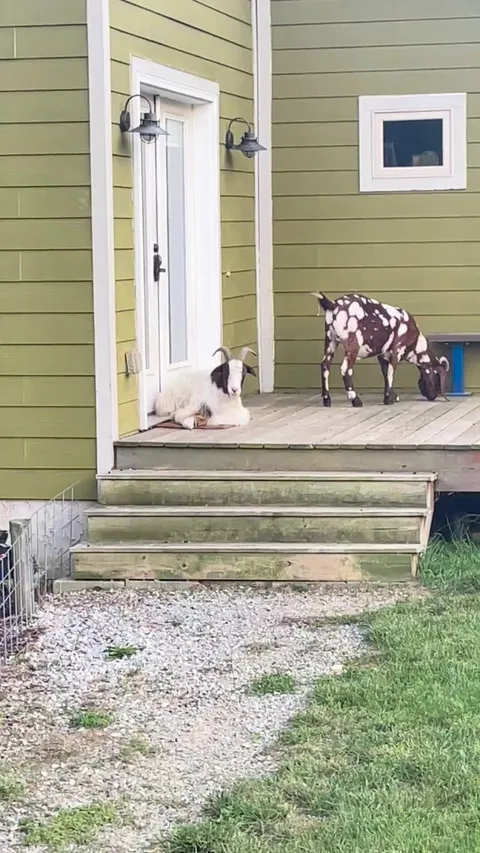 Terry is…different 